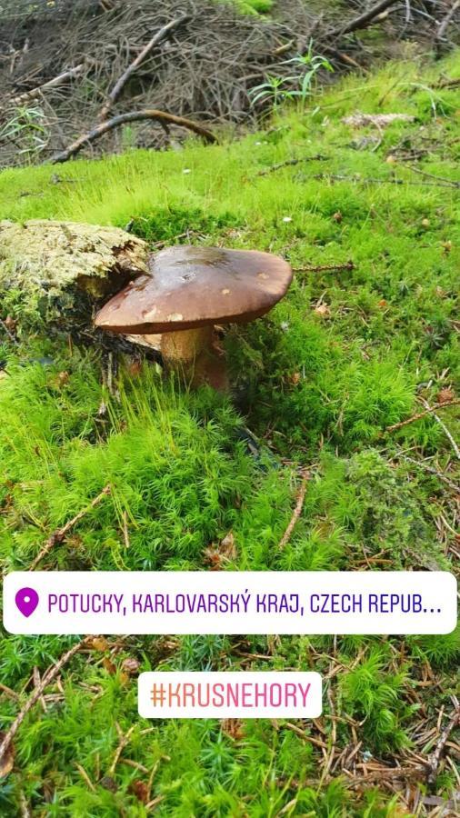 Apartmány Stráň Potucky Exterior foto